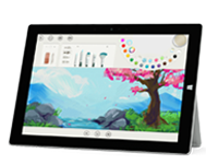 二道Surface 无法开启、Windows 无法启动或电池无法充电